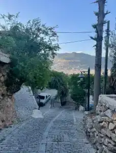Villa Turka - 71