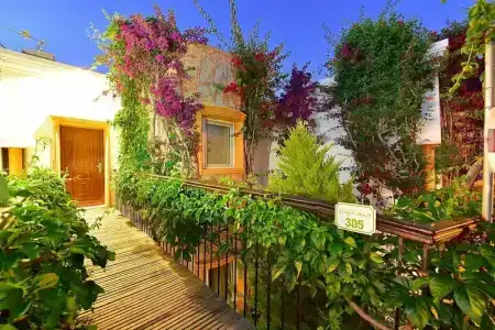 Tropicana Beach - 36