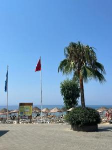 Aria Claros Beach & Spa Resort – All Inclusive 24H - 30