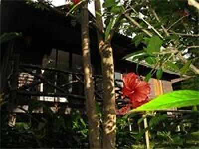Mook Lanta Eco Resort - 35