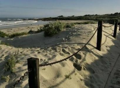 Asilomar Conference Grounds - 35