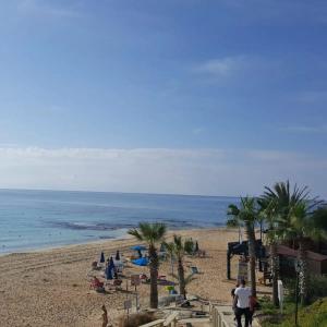 Napa Mermaid & Suites - 95