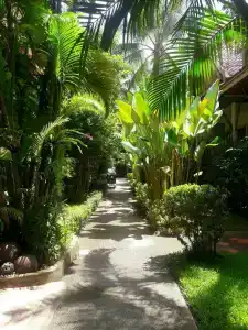 Bangtao Village Resort - SHA - 8