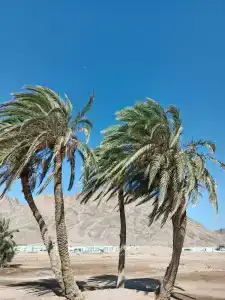 Happy Life Village Dahab - 53