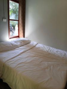 Coconut Bungalow - 30