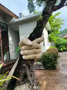 Metadee Concept - SHA Plus - 37