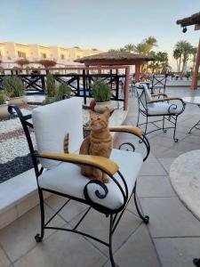 Iberotel Palace - Adults Friendly 16 Years Plus - 75