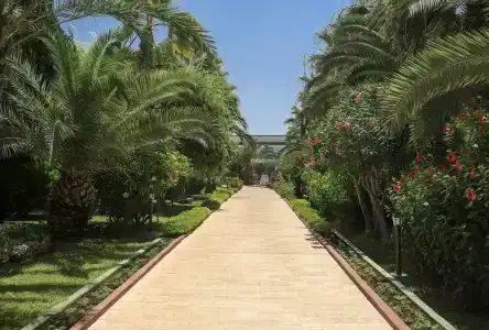 Delphin Deluxe Resort - 38