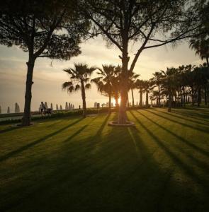 Acanthus Cennet Barut Collection - Ultra All Inclusive - 45