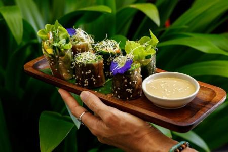 CC's Hideaway Kata - SHA Plus - 88