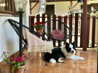 The Houses of History - anno 1830 - 38