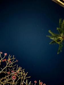 Andaman Cannacia Resort & Spa - SHA Extra Plus - 94