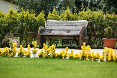 Assos Barbarossa - Special Category - 15