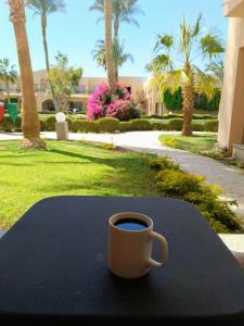 Ali Baba Palace -Families and Couples Only- - 64