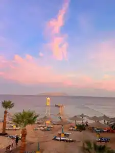 Royal Savoy Sharm El Sheikh - 14