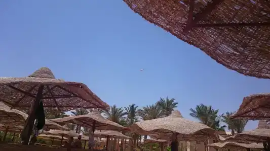 Jaz Makadi Saraya Palms - 43