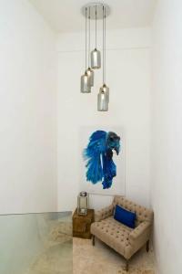 The Ocean Club, a Luxury Collection Resort, Costa Norte - 31