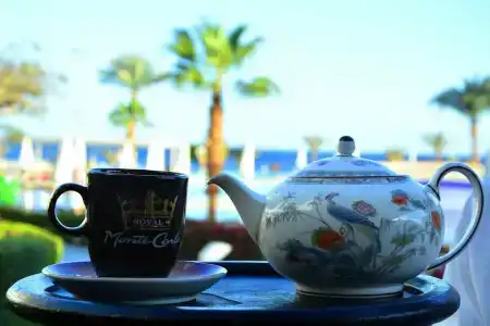 Monte Carlo Sharm Resort & Spa - 6