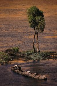 Mövenpick Resort Aswan - 45