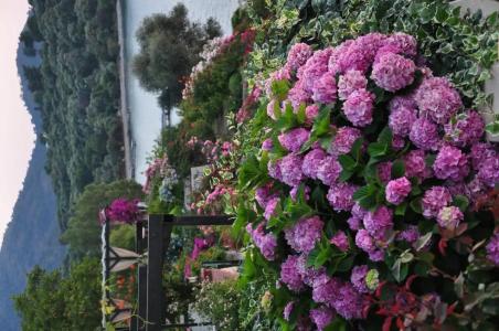 Ece Sovalye Island - 62