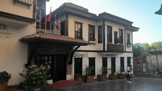 Dogan - 11
