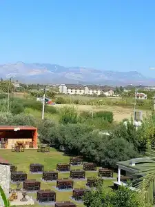 Fun&Sun Smart Hane Sun - 62