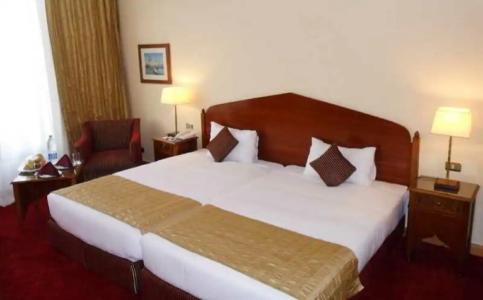 Golden Tulip Flamenco Cairo - 86