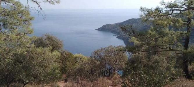 MARBAS SELECT BEACH , Adult Only 14 Plus - 18