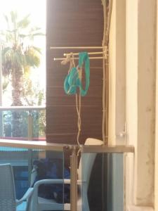 Kleopatra Celine - 79