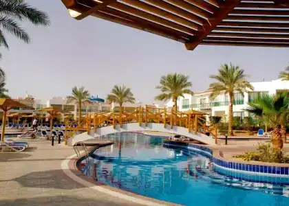 Panorama Naama Heights - 49