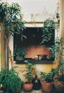 Shila Athens - 39