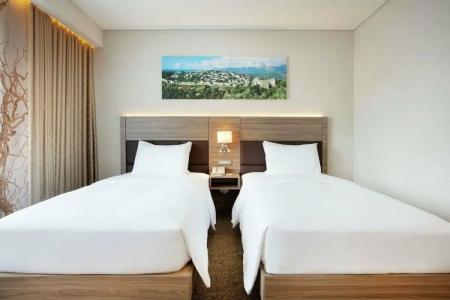 Hilton Garden Inn - 78