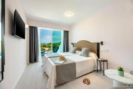 Vibra Palma Cactus - 26