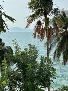 Royal Cliff Beach Terrace - SHA Extra Plus - 60