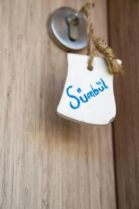 Alice Tatil Evi - 22