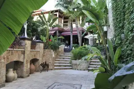 Tuvana - 65