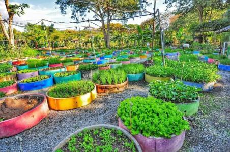 Birds and Bees Resort - 23