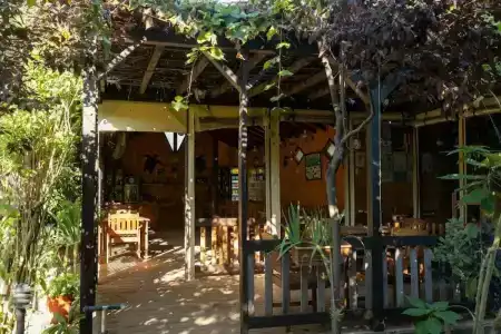 Caretta Caretta Pension - 55