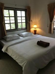 Coconut Bungalow - 1