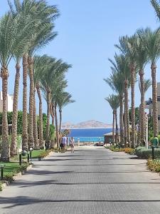 Ivy Cyrene Island Resort - 81
