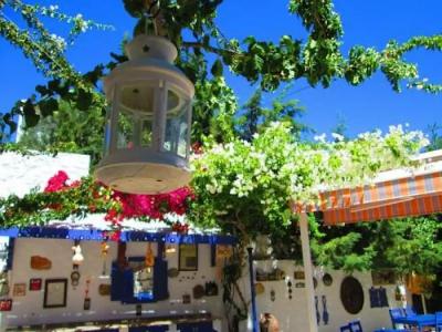 Datca Villa Asina - 45