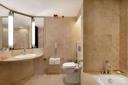Ramada Plaza by Wyndham Dubai Deira - 88