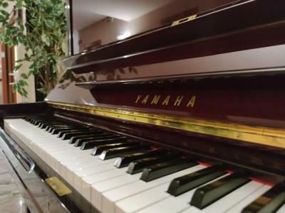 Audi Frontemare - 21