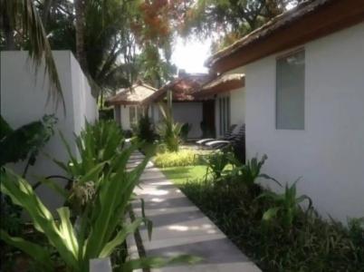 Synergy Samui - 50
