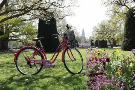 Hôtel LÉONOR the place to live - 4