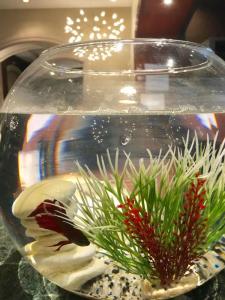 Holiday Inn Nice, an IHG - 39