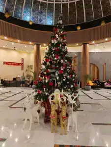 Hurghada Long Beach Resort - 54