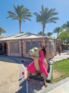Sunrise Garden Beach Resort - 74