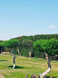 Movenpick Waterpark Resort & Spa Soma Bay - 86