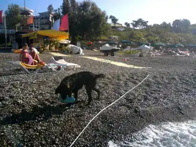 Justiniano Club Alanya - 37